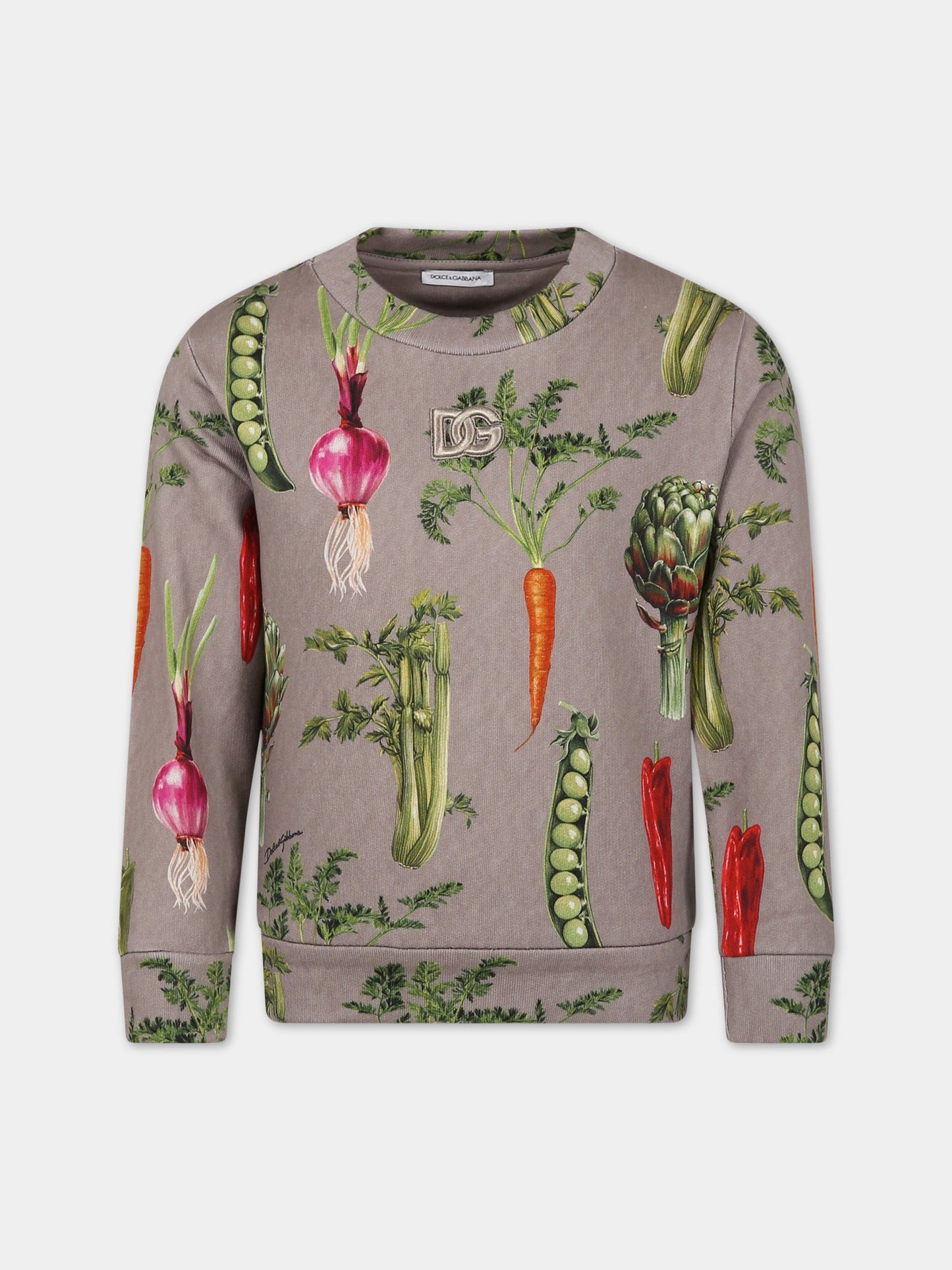 Felpa grigia per bambino con stampa iconica e logo,Dolce & Gabbana Kids,L4JW0K G7I2E S9000