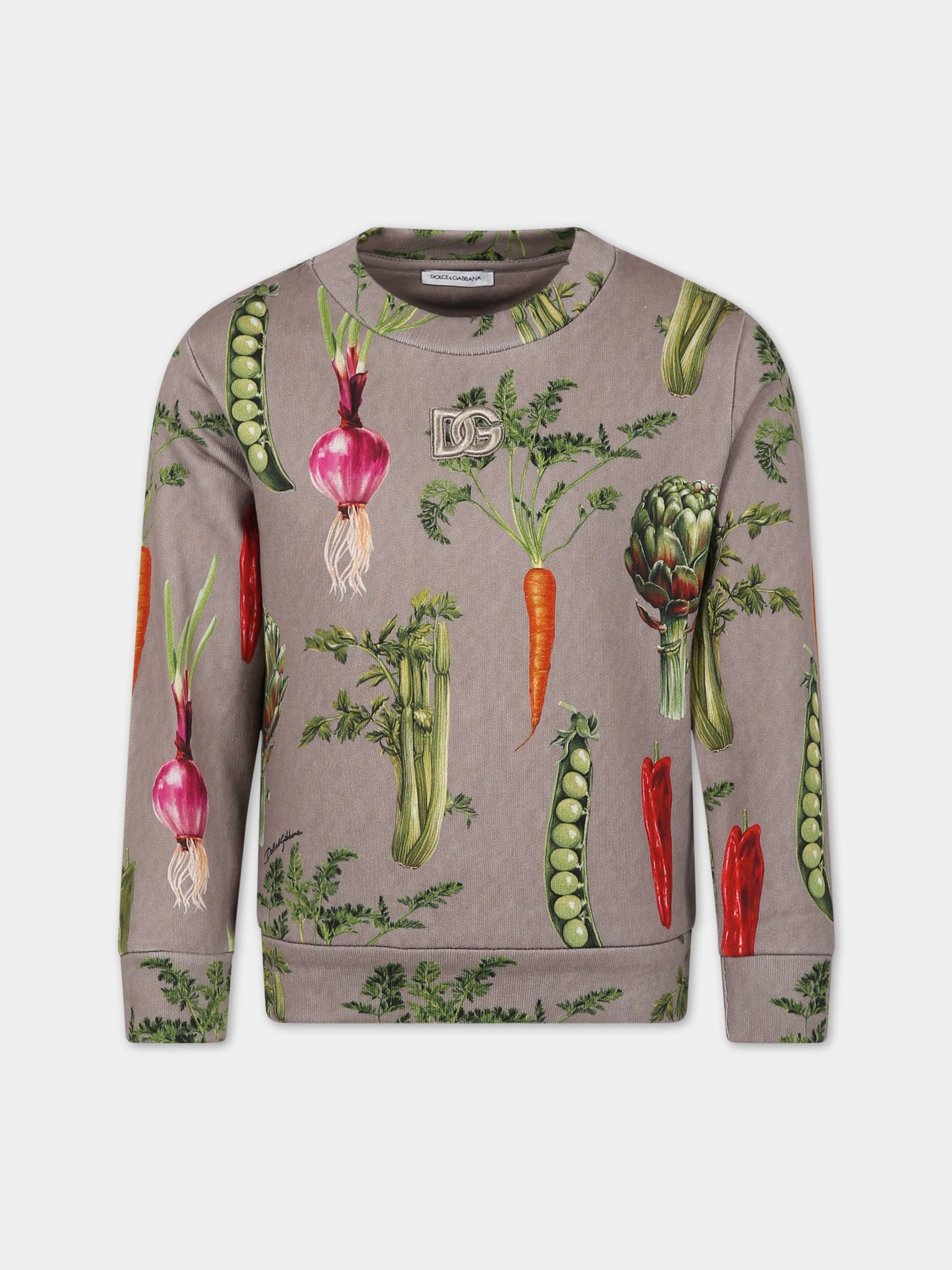 Felpa grigia per bambino con stampa iconica e logo,Dolce & Gabbana Kids,L4JW0K G7I2E S9000