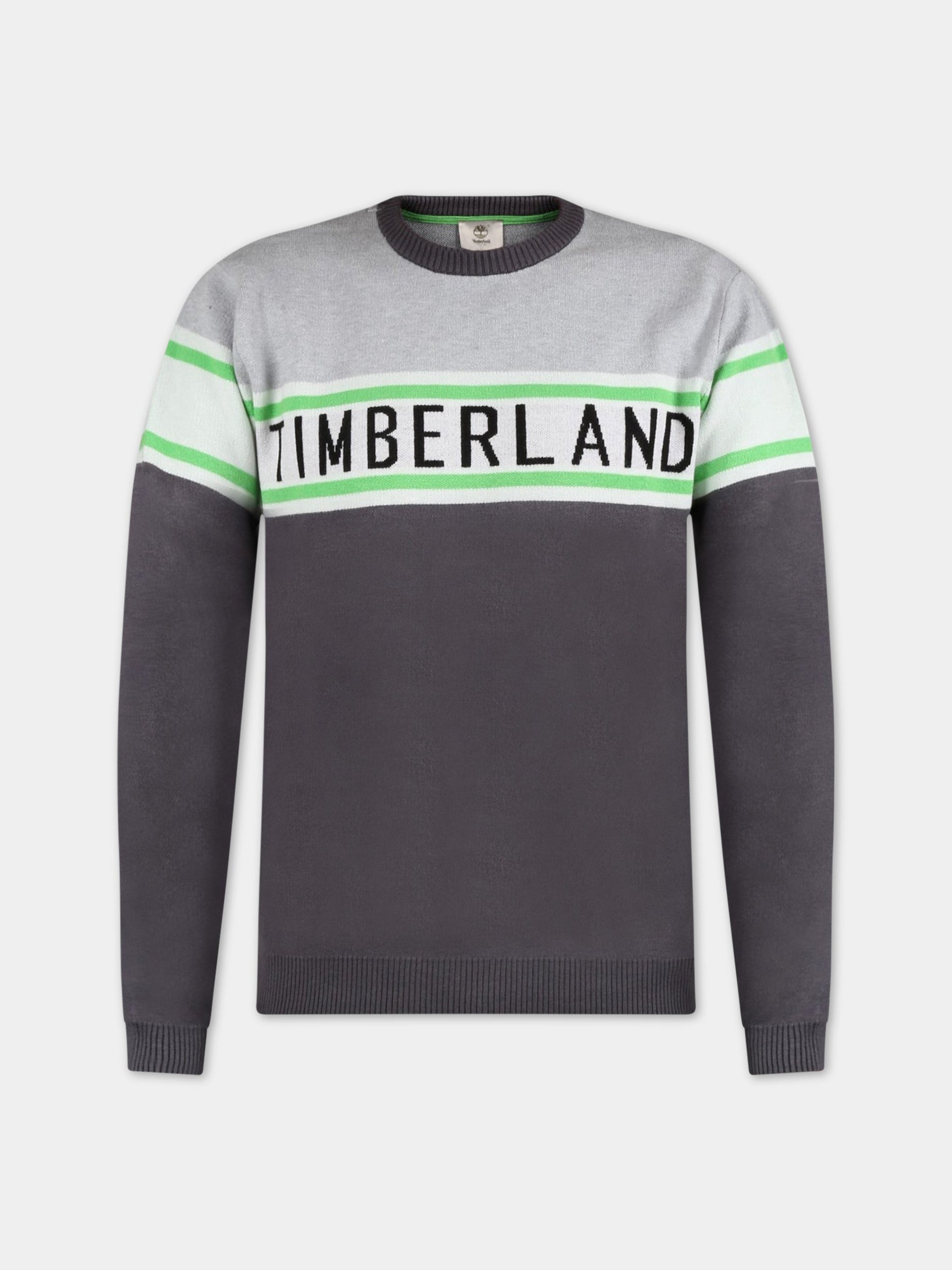 Maglione grigio per bambino con logo,Timberland,T25S54 063